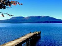 Lake Tarawera Holiday Home image 3